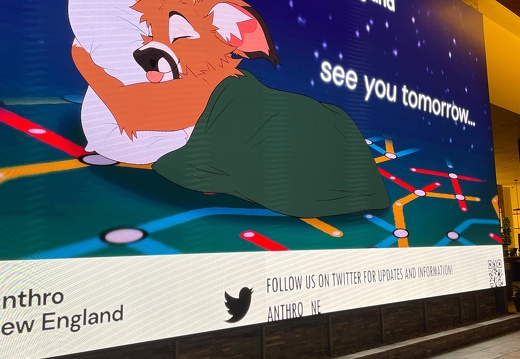 2023